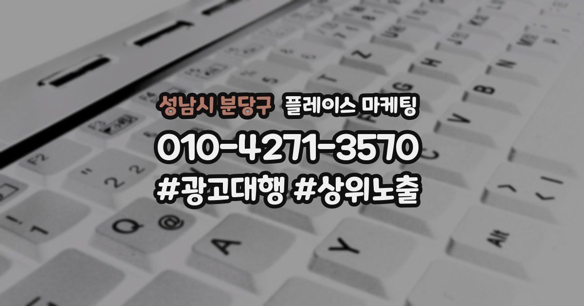 성남시 분당구 플레이스 마케팅