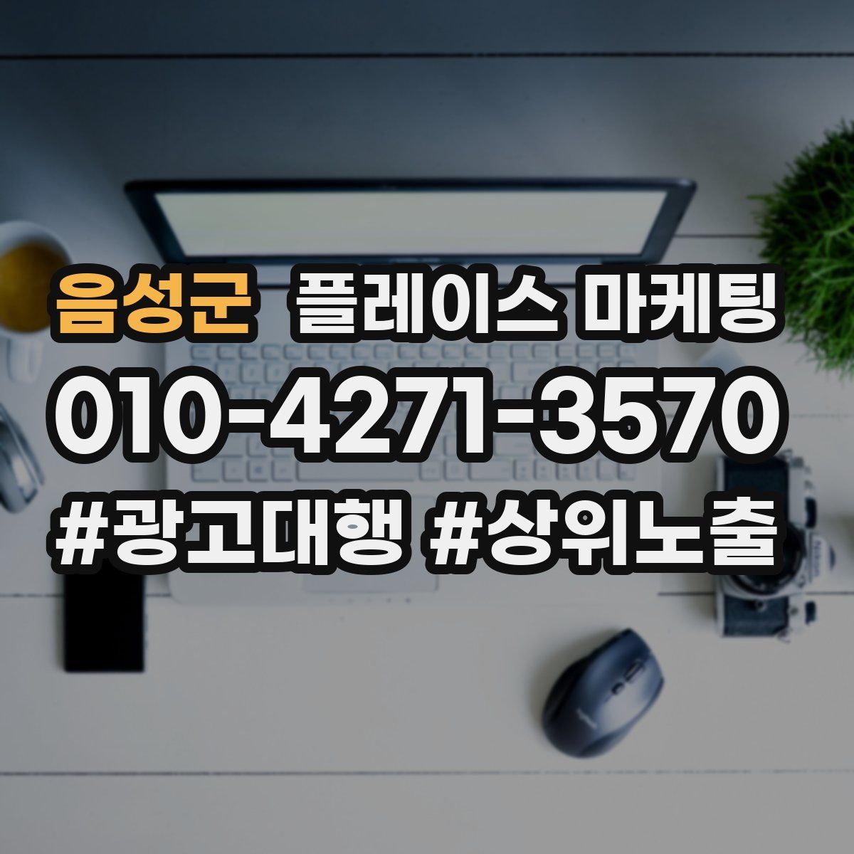 음성군 플레이스 마케팅