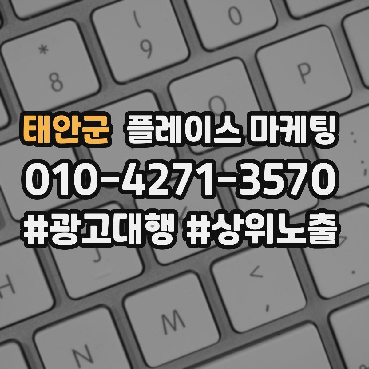태안군 플레이스 마케팅