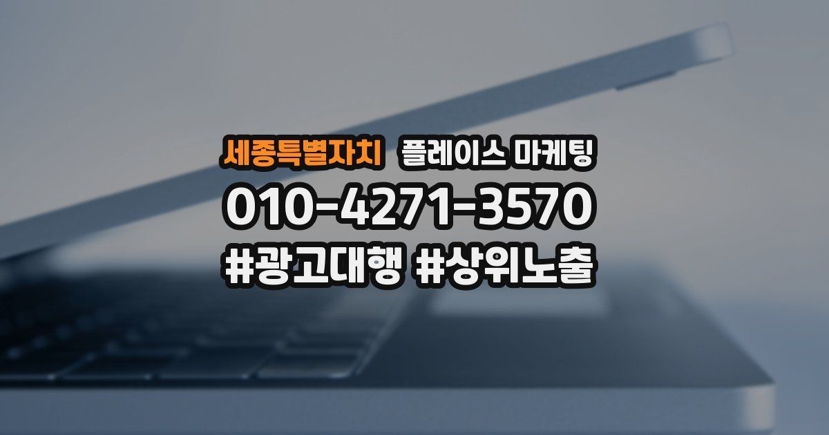 세종특별자치 플레이스 마케팅