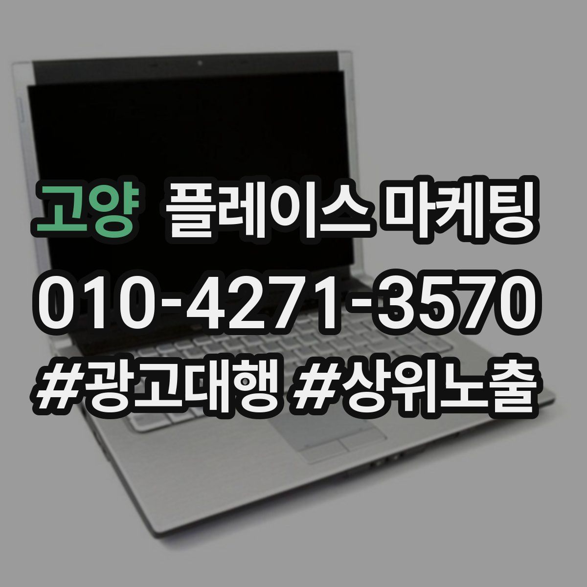 고양 플레이스 마케팅