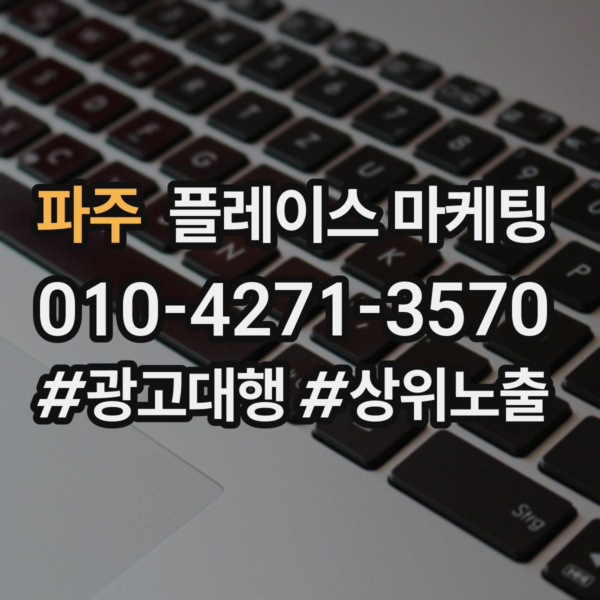 파주 플레이스 마케팅