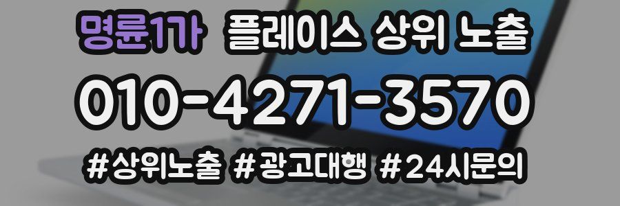 명륜1가 플레이스 상위 노출 상담