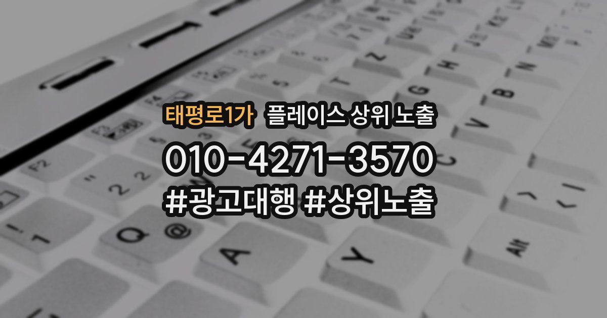 태평로1가 플레이스 상위 노출 안내