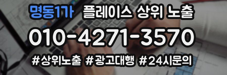 명동1가 플레이스 상위 노출 상담
