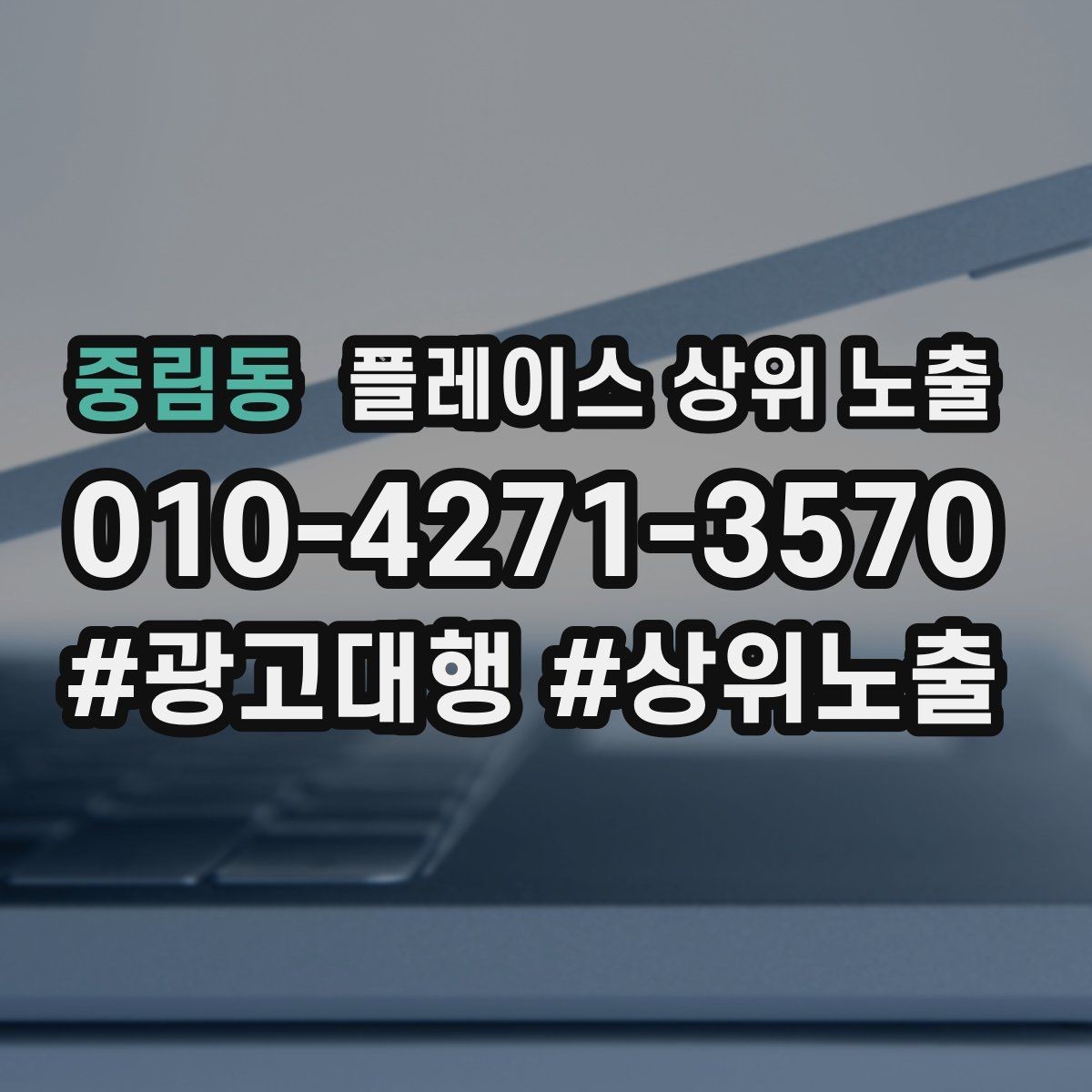 중림동 플레이스 상위 노출 전화 버튼이 잘 먹히는 업종 특징