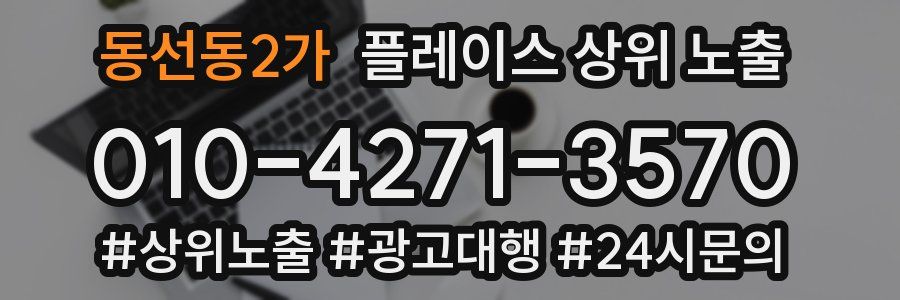 동선동2가 플레이스 상위 노출 개선