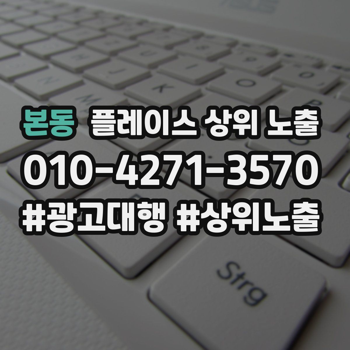 본동 플레이스 상위 노출