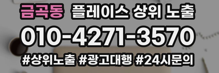 금곡동 플레이스 상위 노출 안내