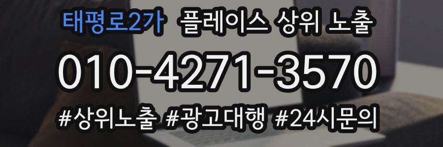 태평로2가 플레이스 상위 노출 상담