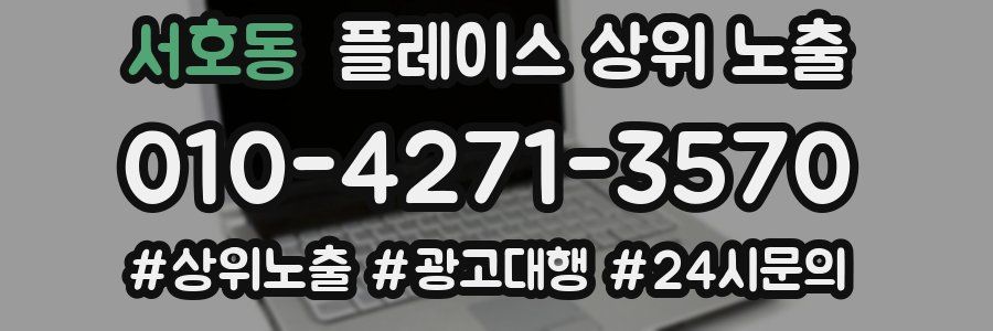 서호동 플레이스 상위 노출 상담