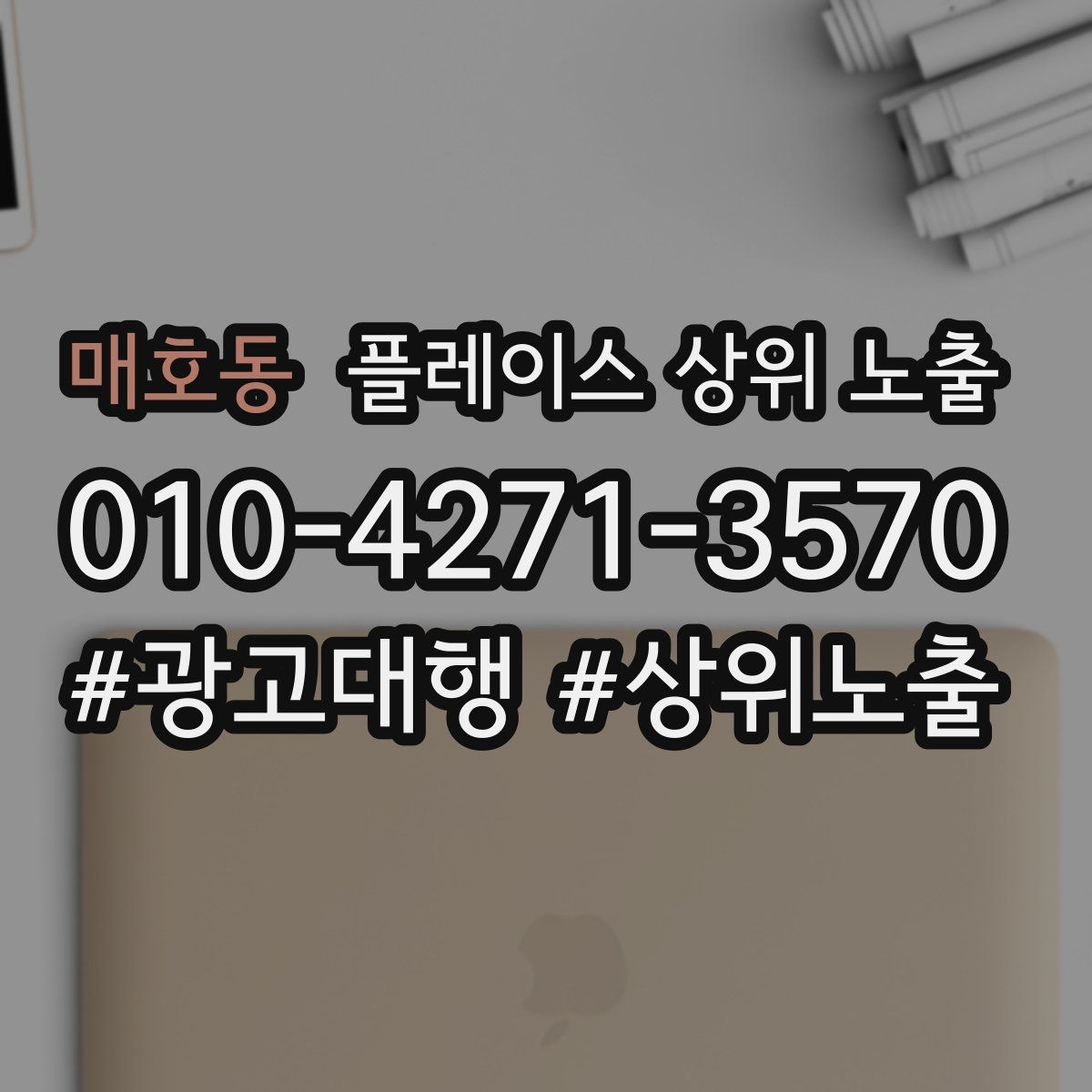 매호동 플레이스 상위 노출