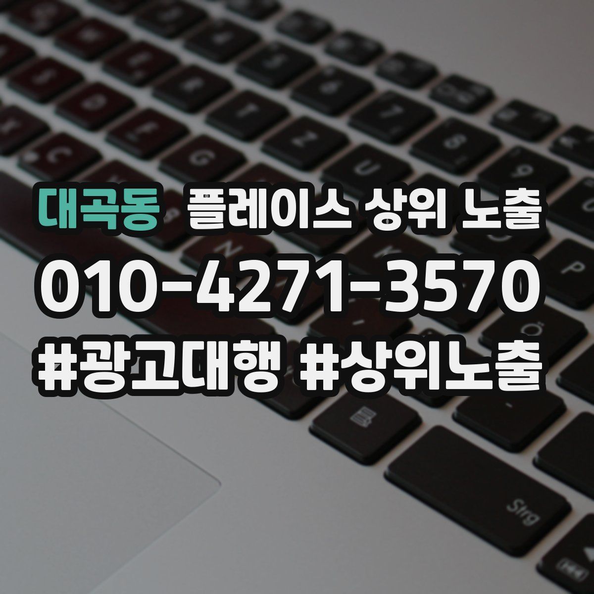 대곡동 플레이스 상위 노출 전략