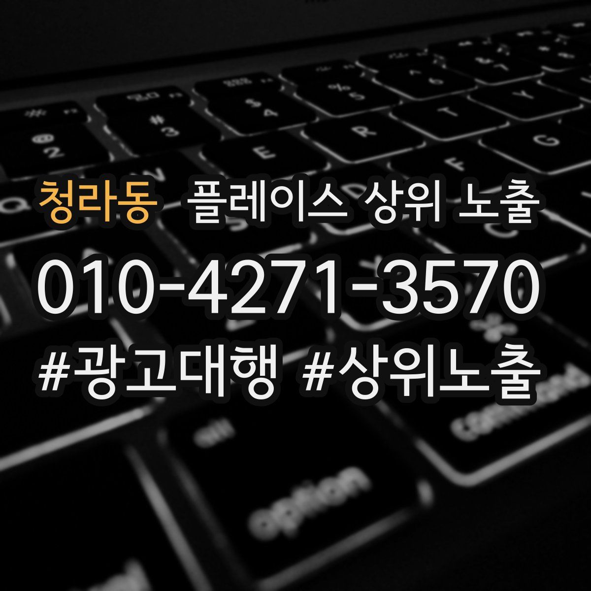 청라동 플레이스 상위 노출 전략