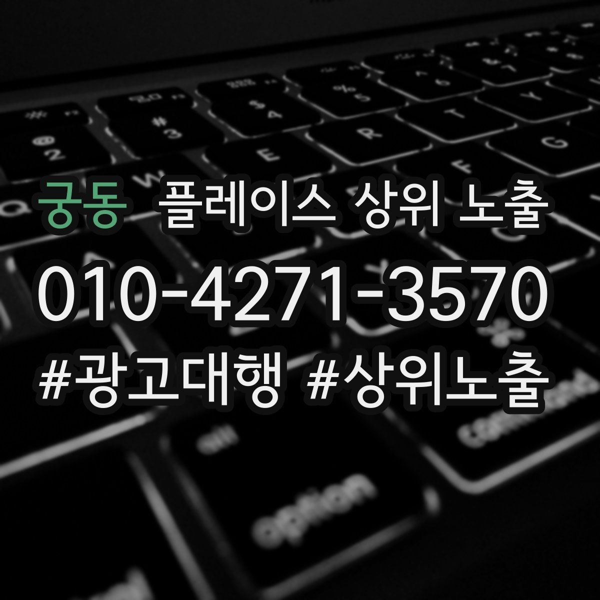궁동 플레이스 상위 노출 월말에 꼭 해야 하는 정리 작업