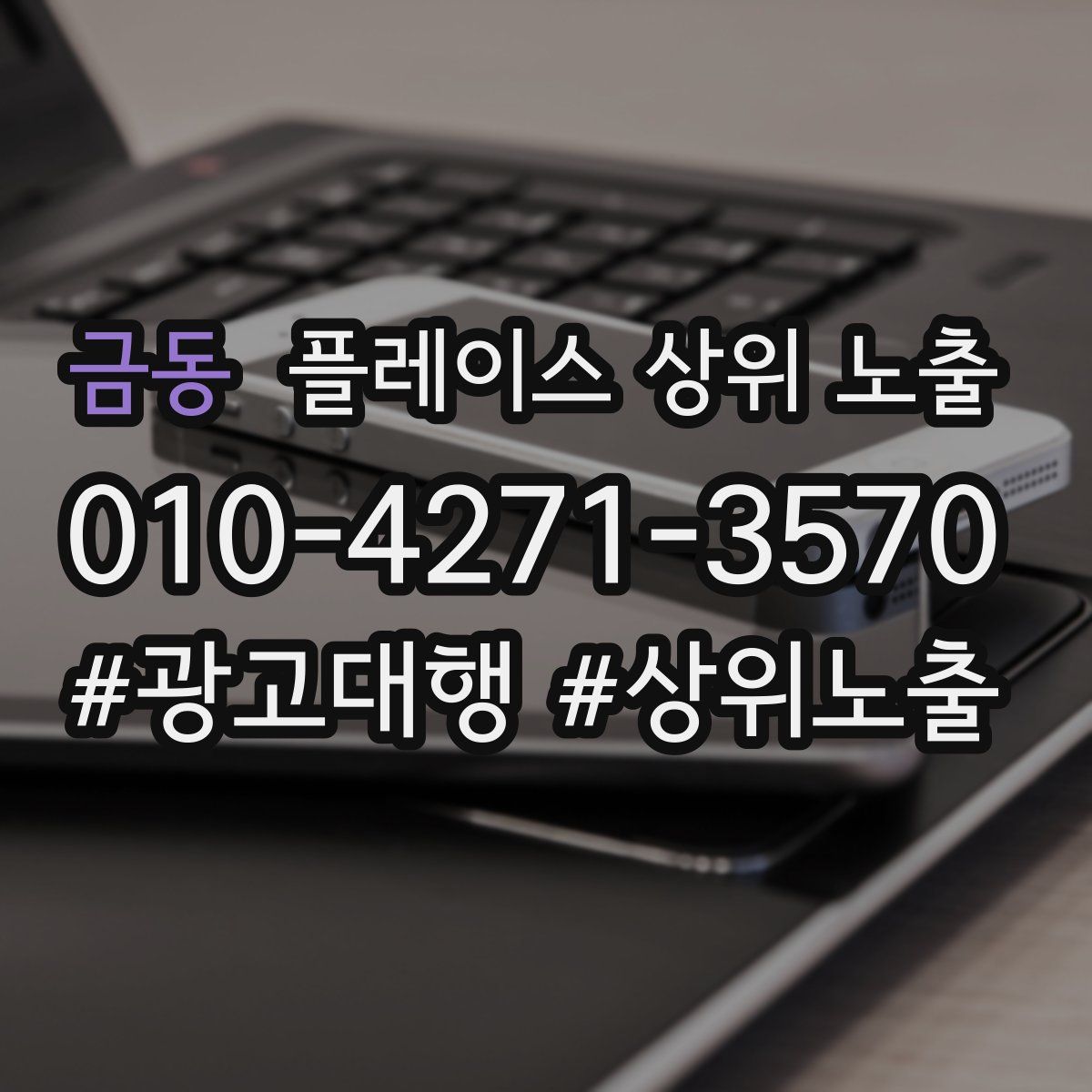 금동 플레이스 상위 노출