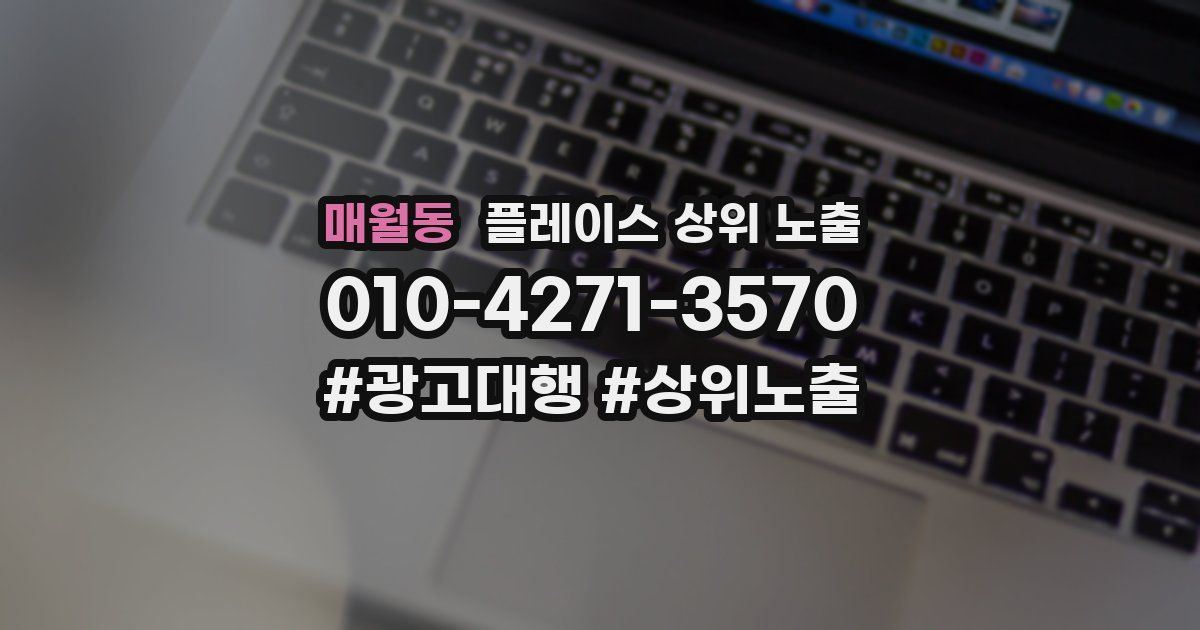 매월동 플레이스 상위 노출 안내