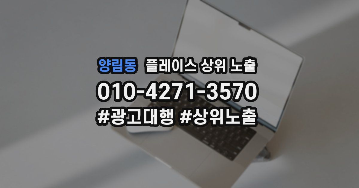 양림동 플레이스 상위 노출