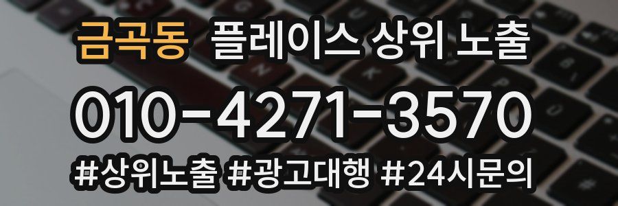 금곡동 플레이스 상위 노출