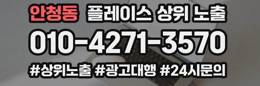 안청동 플레이스 상위 노출