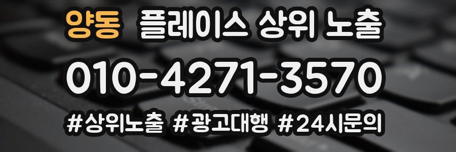 양동 플레이스 상위 노출 안내
