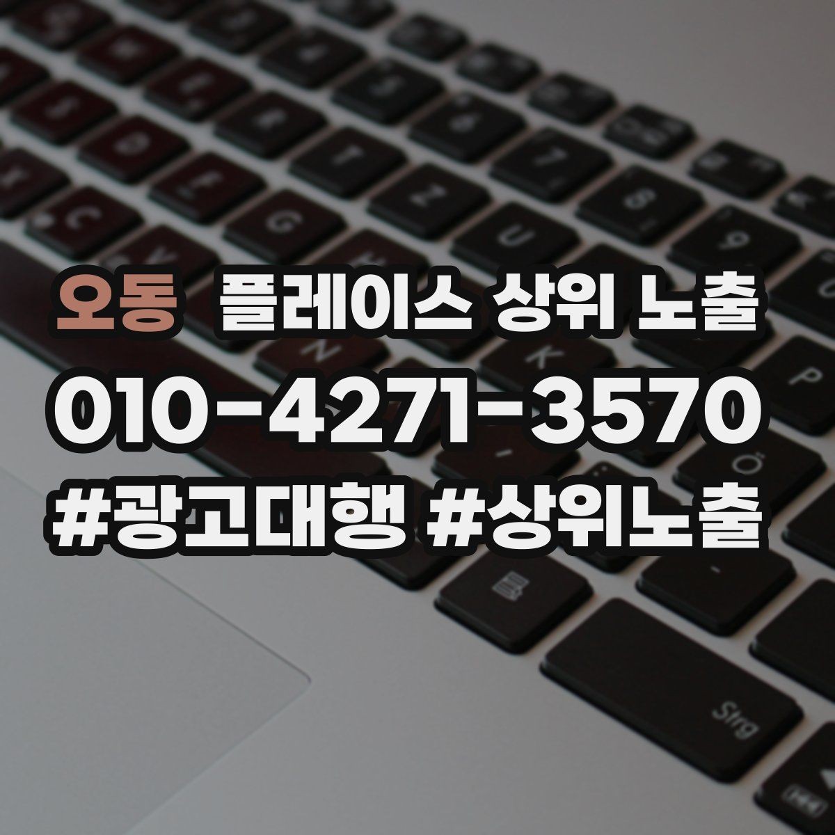 오동 플레이스 상위 노출 인증 허가 정보가 필요한 업종 정리