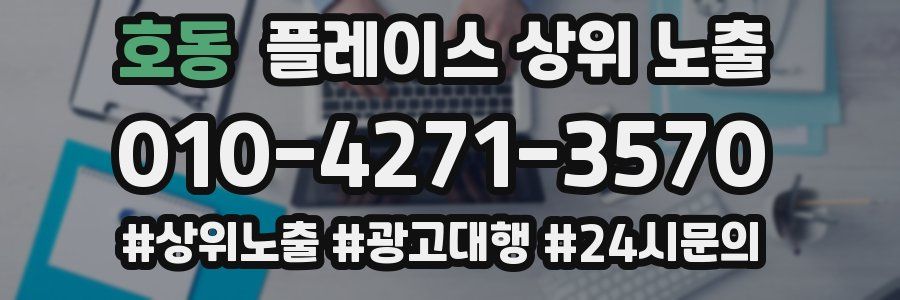 호동 플레이스 상위 노출 개선