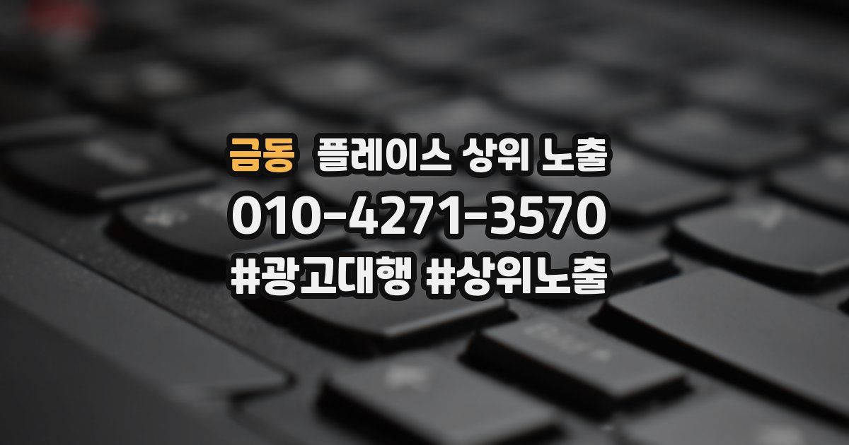 금동 플레이스 상위 노출 상담
