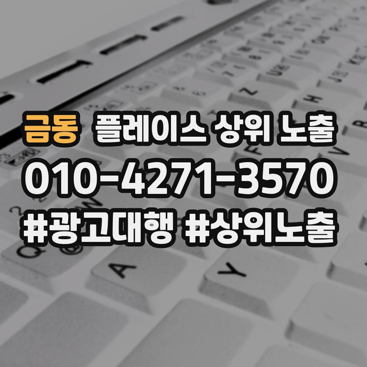 금동 플레이스 상위 노출