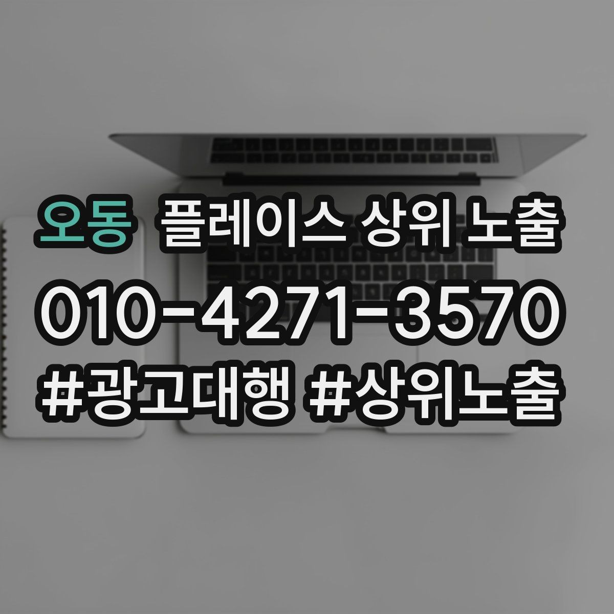 오동 플레이스 상위 노출 카페는 좌석 분위기 사진이 전환이다
