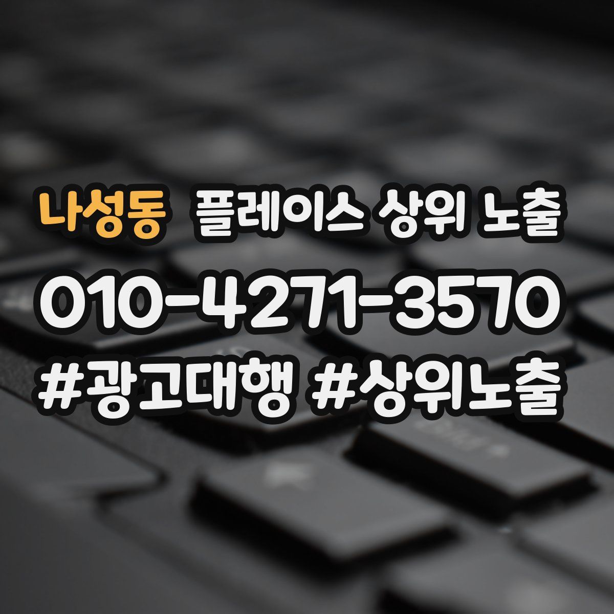 나성동 플레이스 상위 노출