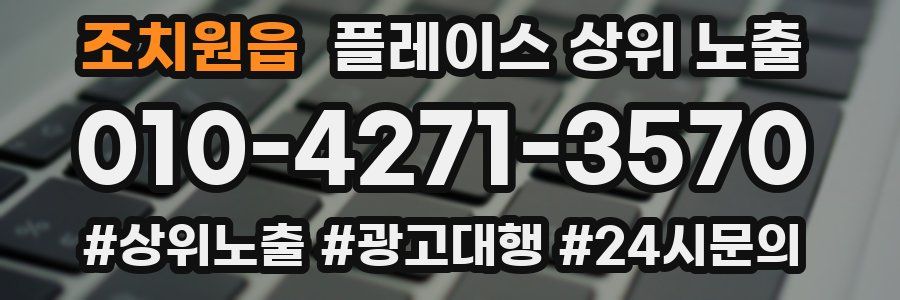 조치원읍 플레이스 상위 노출 개선