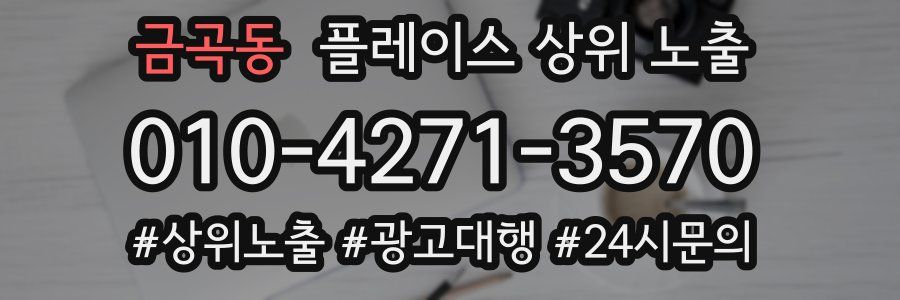 금곡동 플레이스 상위 노출 가이드