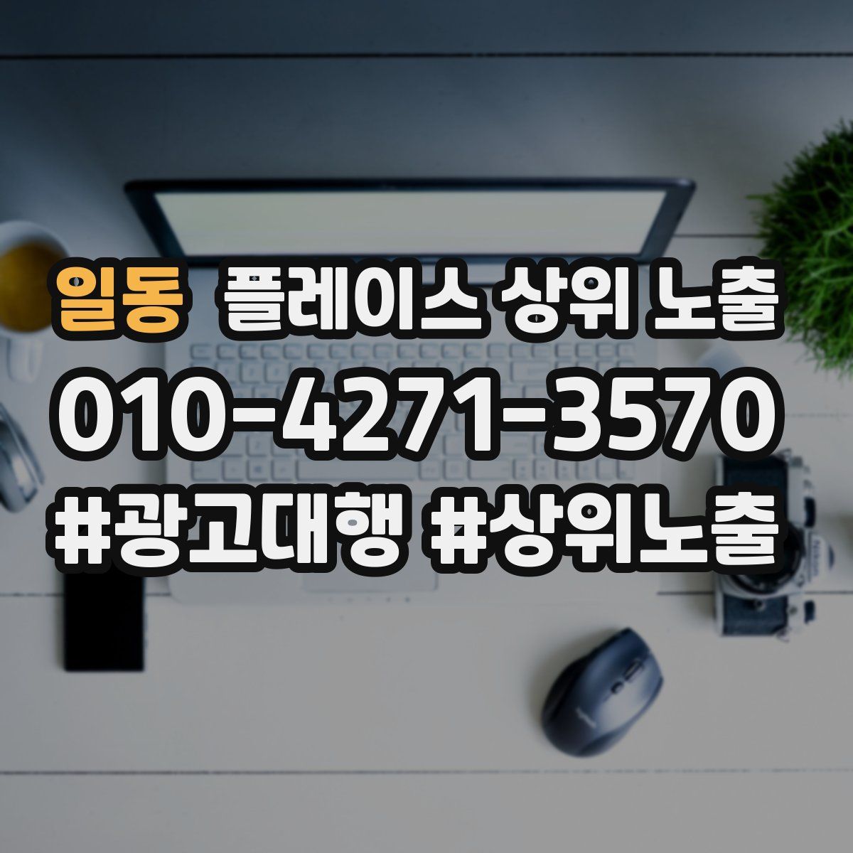 일동 플레이스 상위 노출