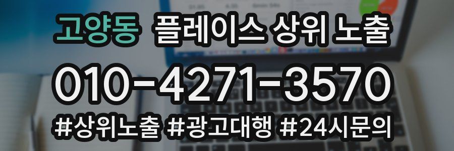 고양동 플레이스 상위 노출 상담