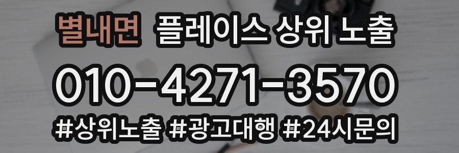 별내면 플레이스 상위 노출 개선