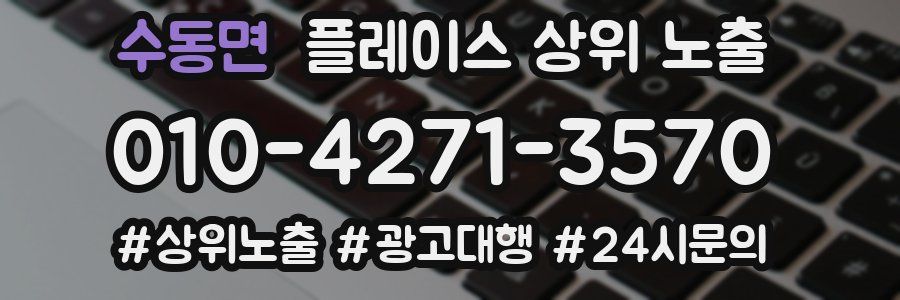 수동면 플레이스 상위 노출 개선