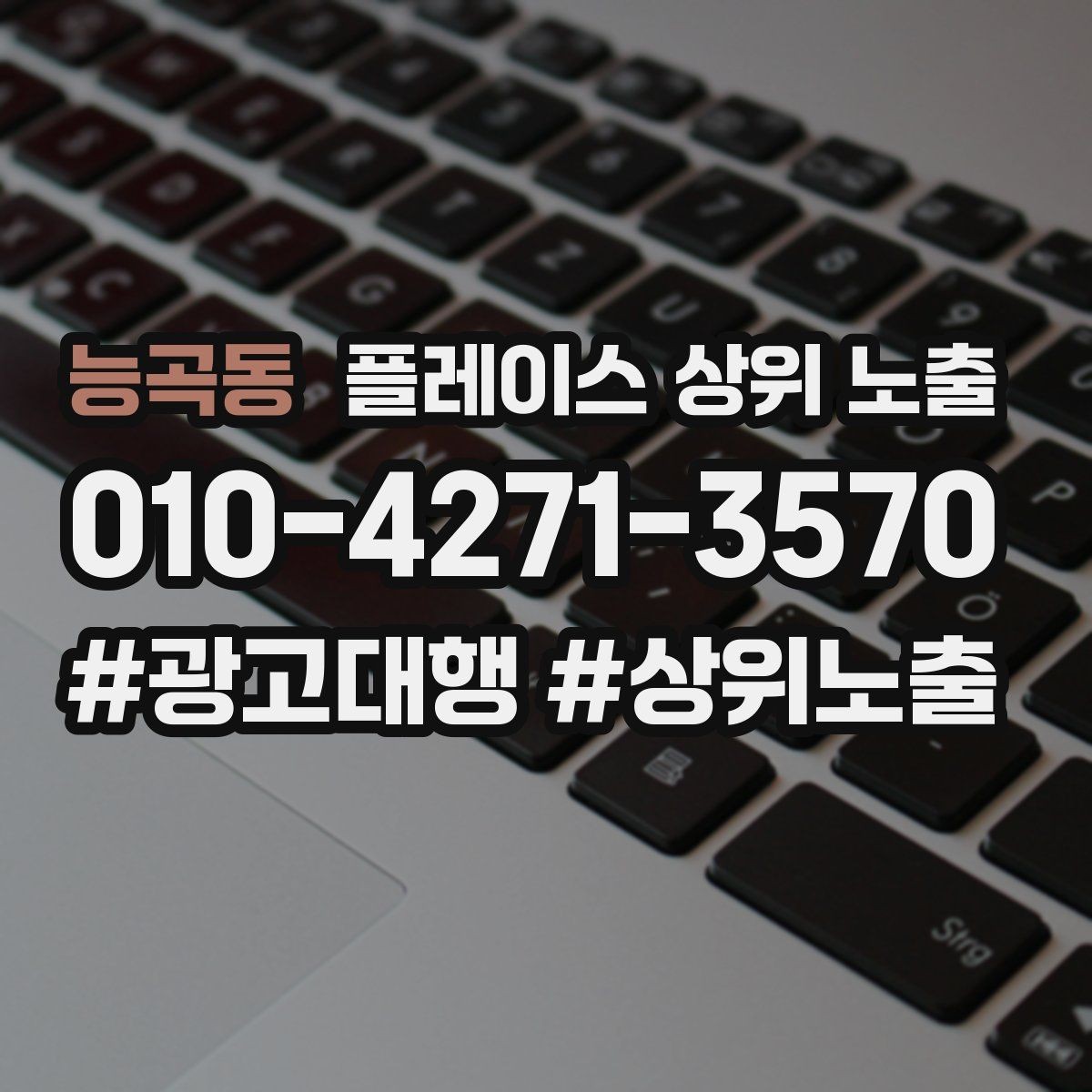 능곡동 플레이스 상위 노출 최저가 대신 신뢰를 주는 문구