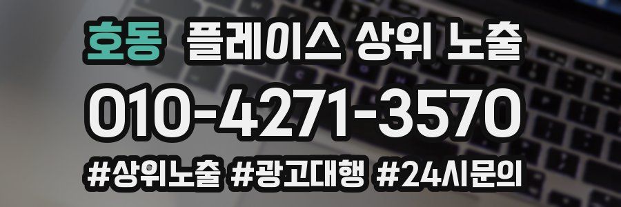 호동 플레이스 상위 노출 개선
