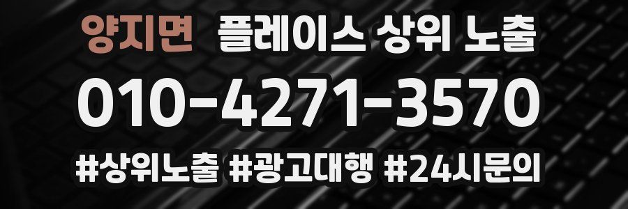 양지면 플레이스 상위 노출 상담