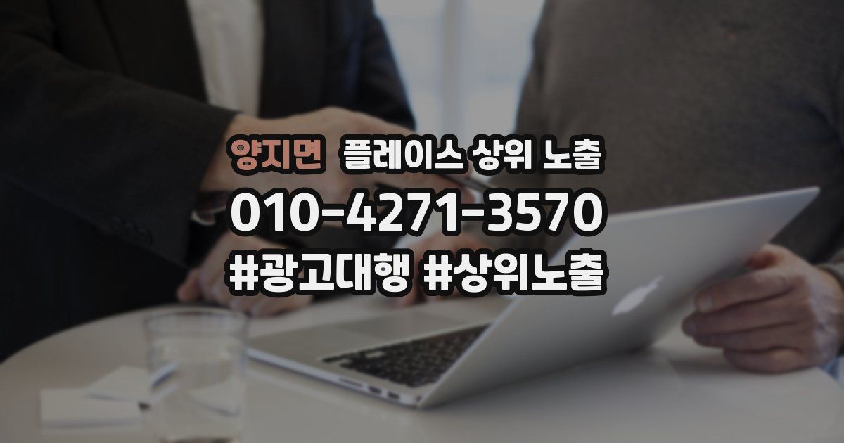 양지면 플레이스 상위 노출 개선