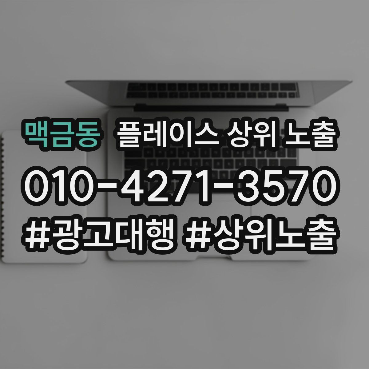 맥금동 플레이스 상위 노출 상담