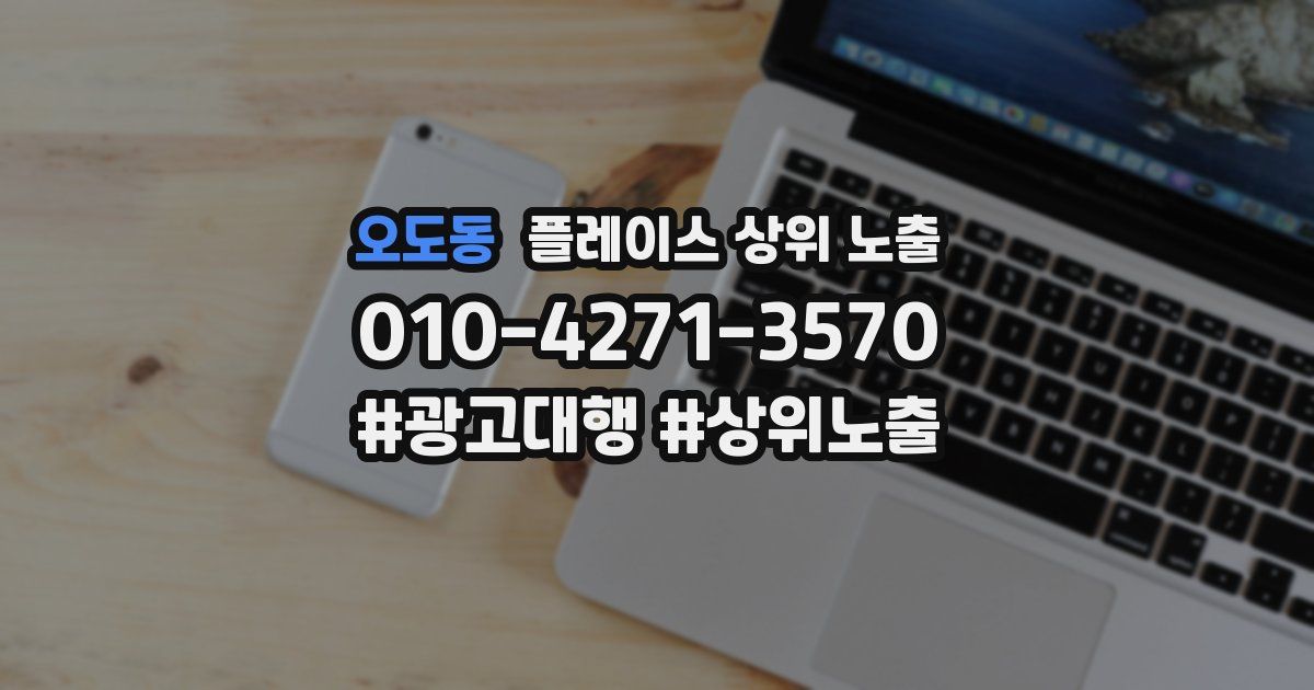 오도동 플레이스 상위 노출