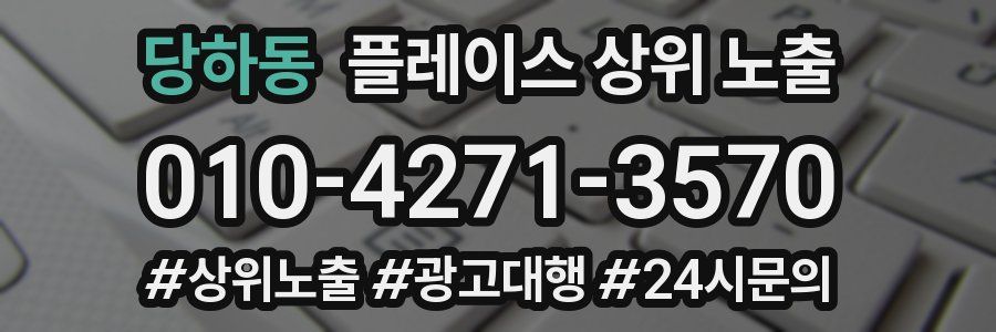 당하동 플레이스 상위 노출 상담