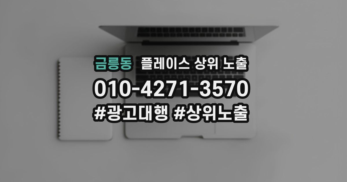 금릉동 플레이스 상위 노출 상담