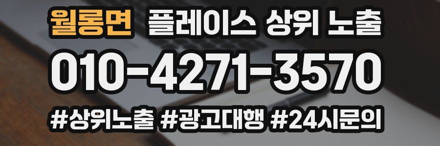 월롱면 플레이스 상위 노출