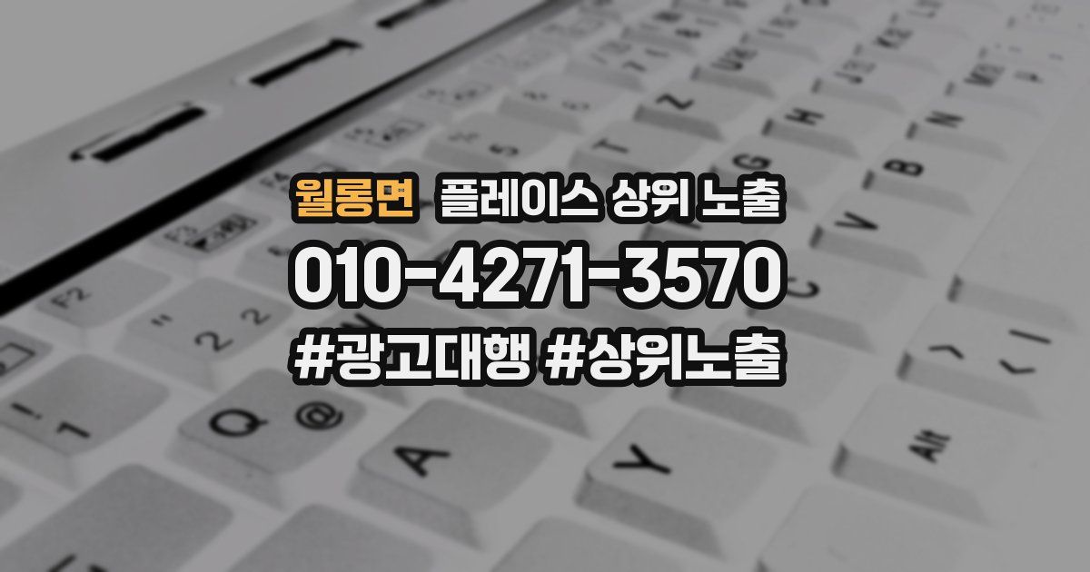 월롱면 플레이스 상위 노출 안내