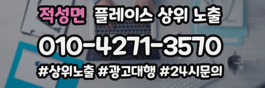 적성면 플레이스 상위 노출 개선