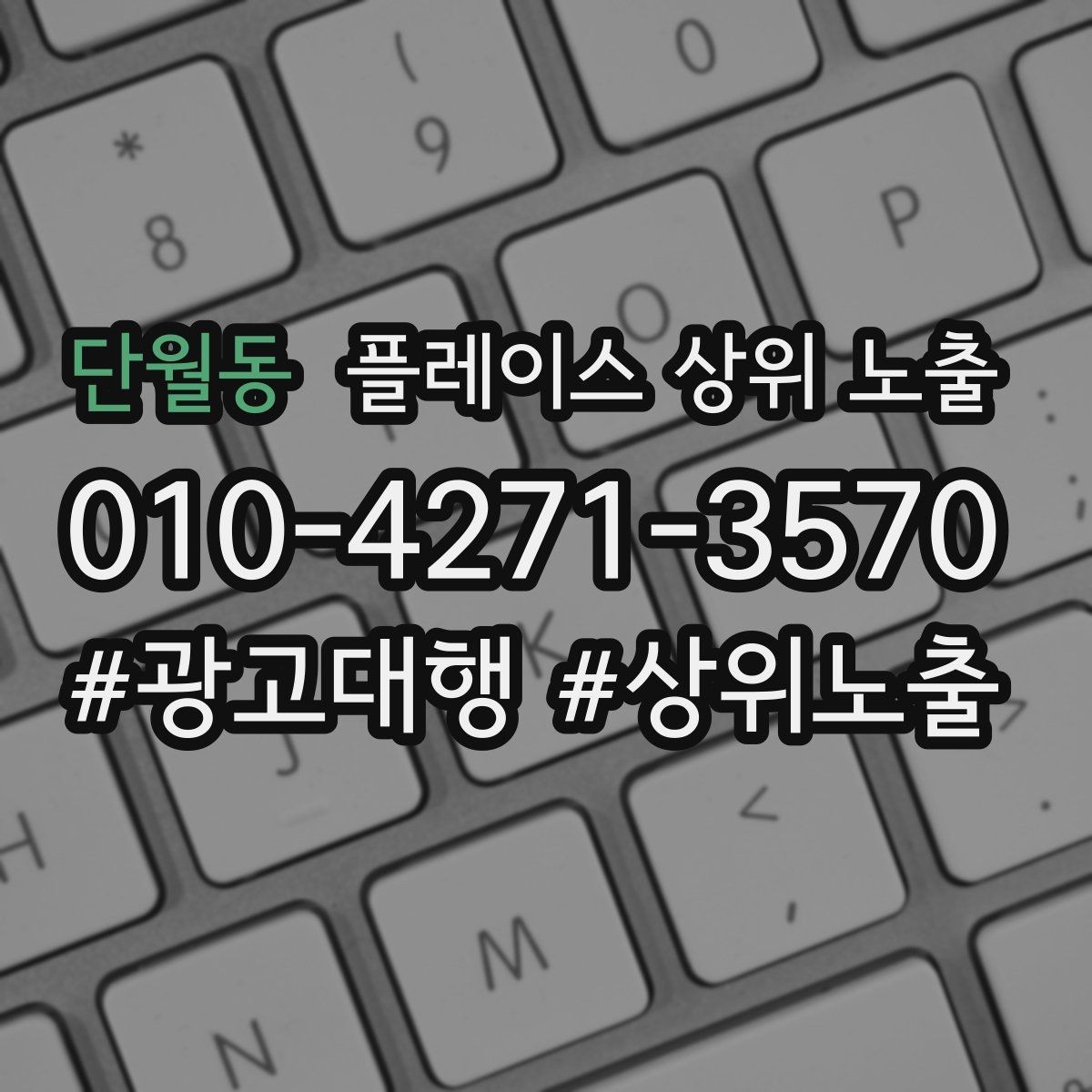 단월동 플레이스 상위 노출 가능/불가능 기준을 적는 팁