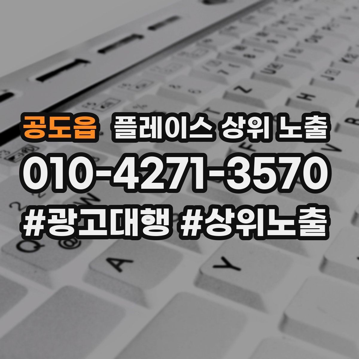 공도읍 플레이스 상위 노출 테스트확대 순서로 안정적으로 키우기